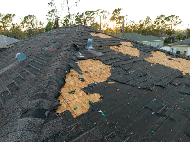 Best Roof Moss and Algae Removal  in Auburn, CA