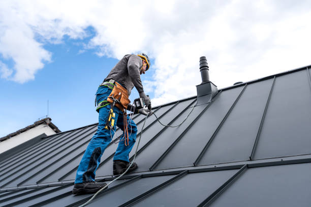 Best Solar Panel Roofing Installation  in Auburn, CA